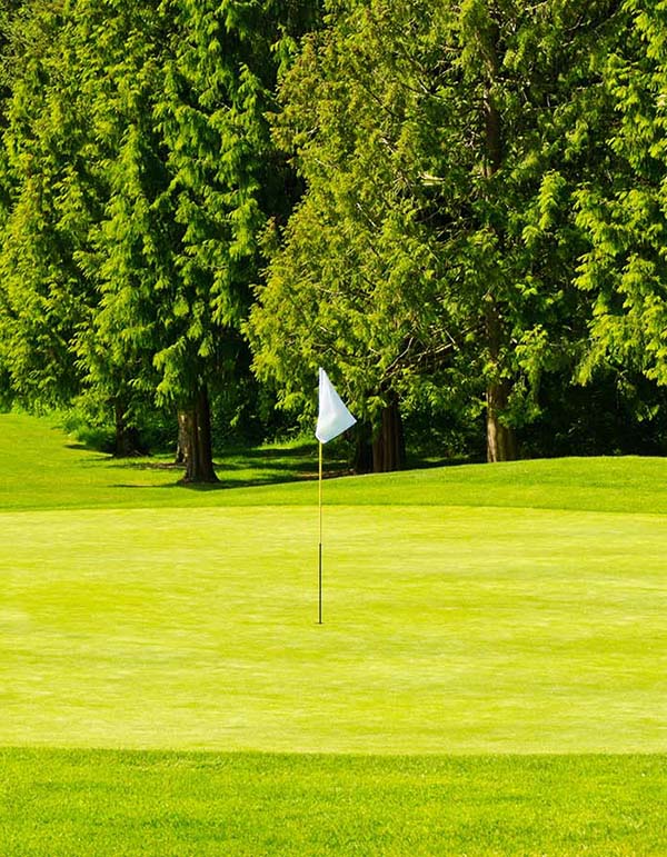 golf course