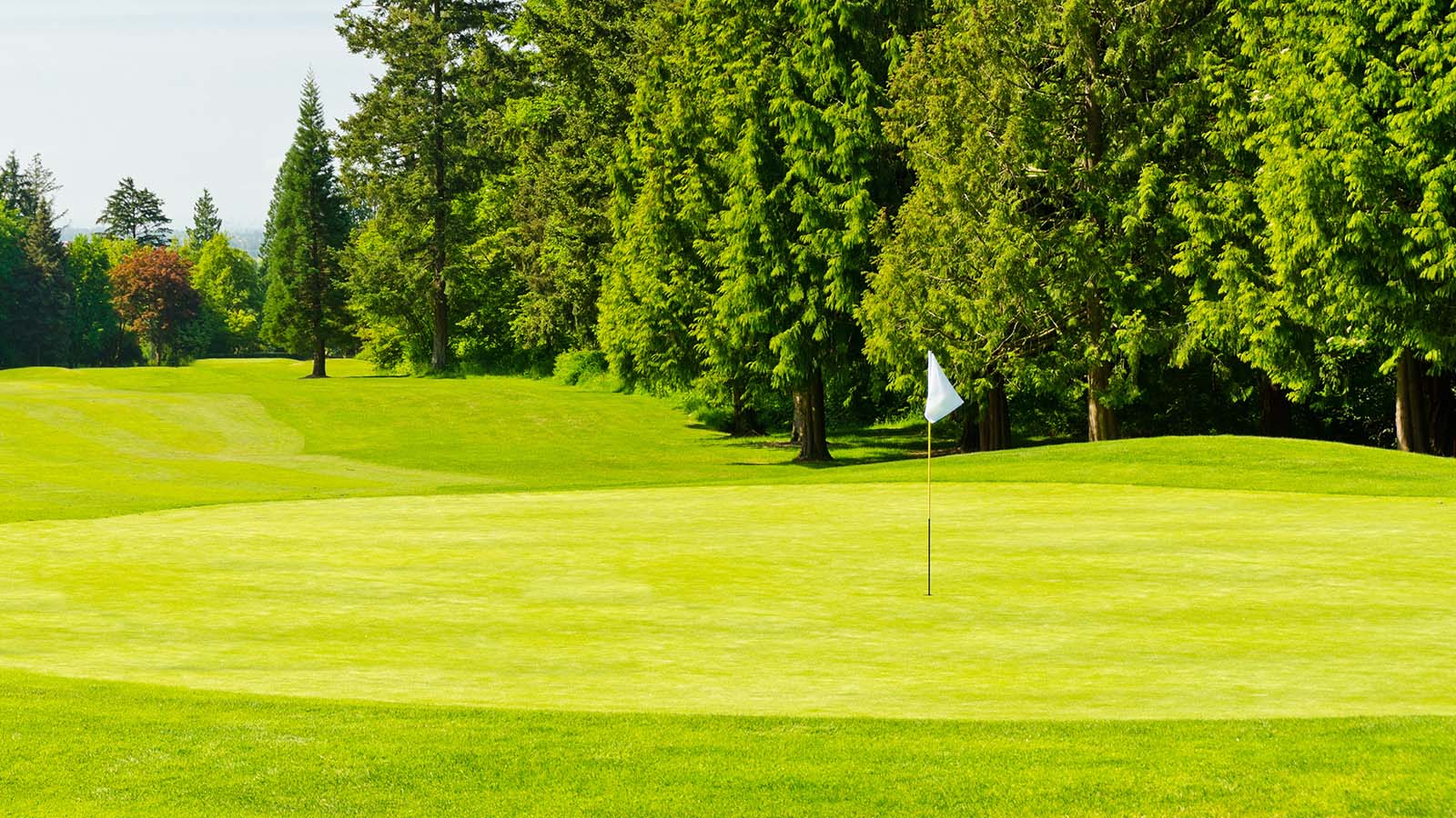 golf course